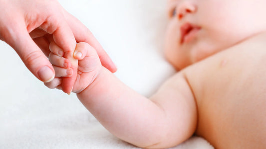 Tallow For Babies