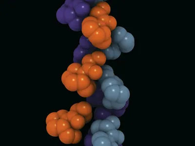 Does Beef Tallow Have Collagen